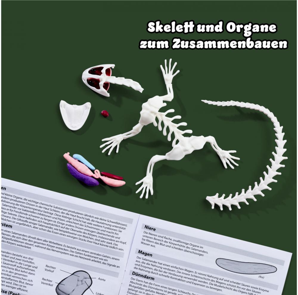 Simba Outdoor Forschen und Entdecken Scout Dissect-It Salamander Schleim-Sezierset 109452704