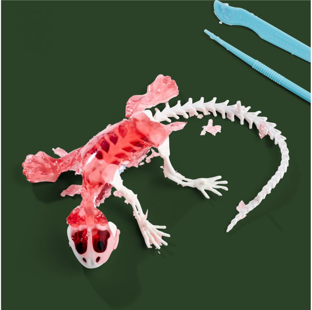 Simba Outdoor Forschen und Entdecken Scout Dissect-It Salamander Schleim-Sezierset 109452704