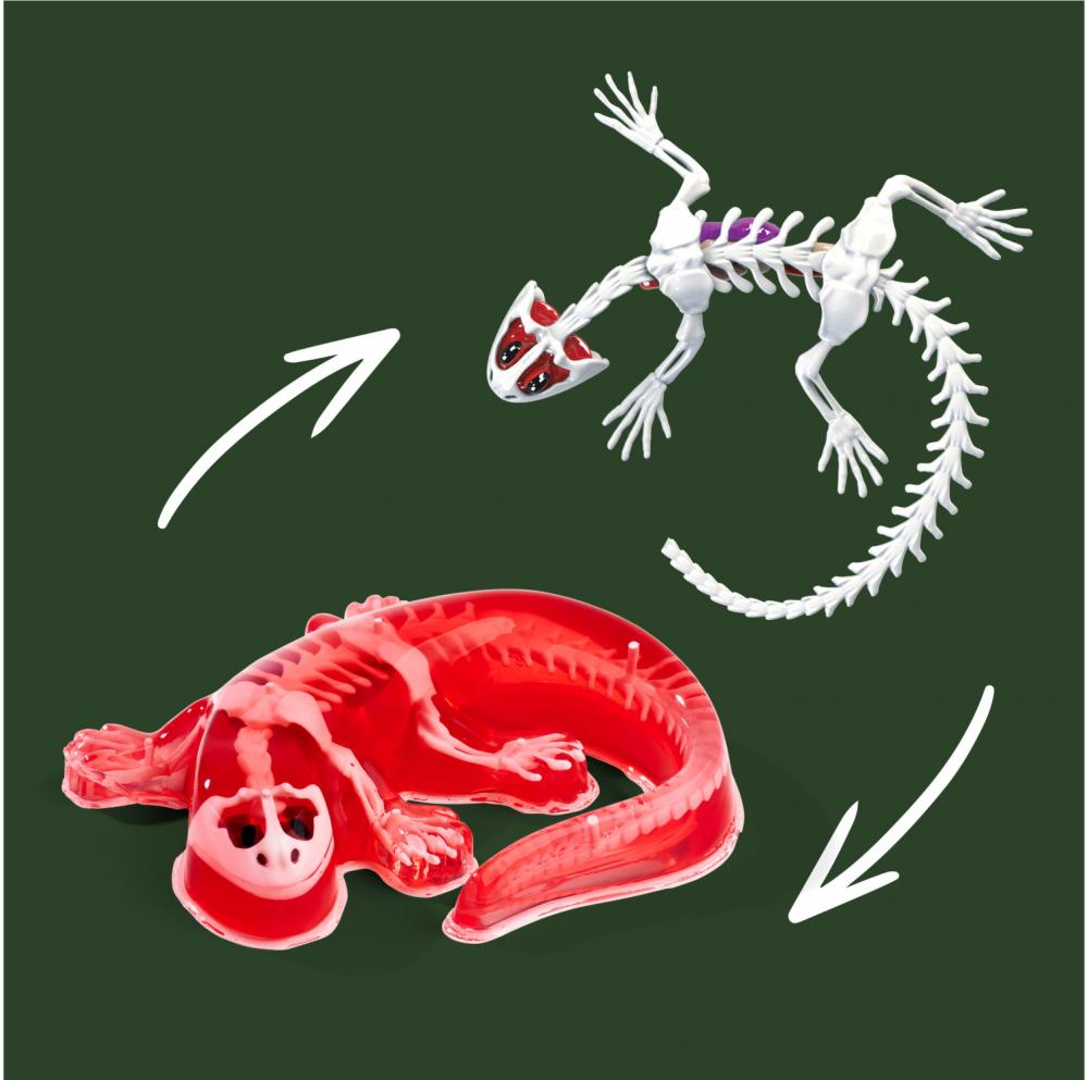 Simba Outdoor Forschen und Entdecken Scout Dissect-It Salamander Schleim-Sezierset 109452704