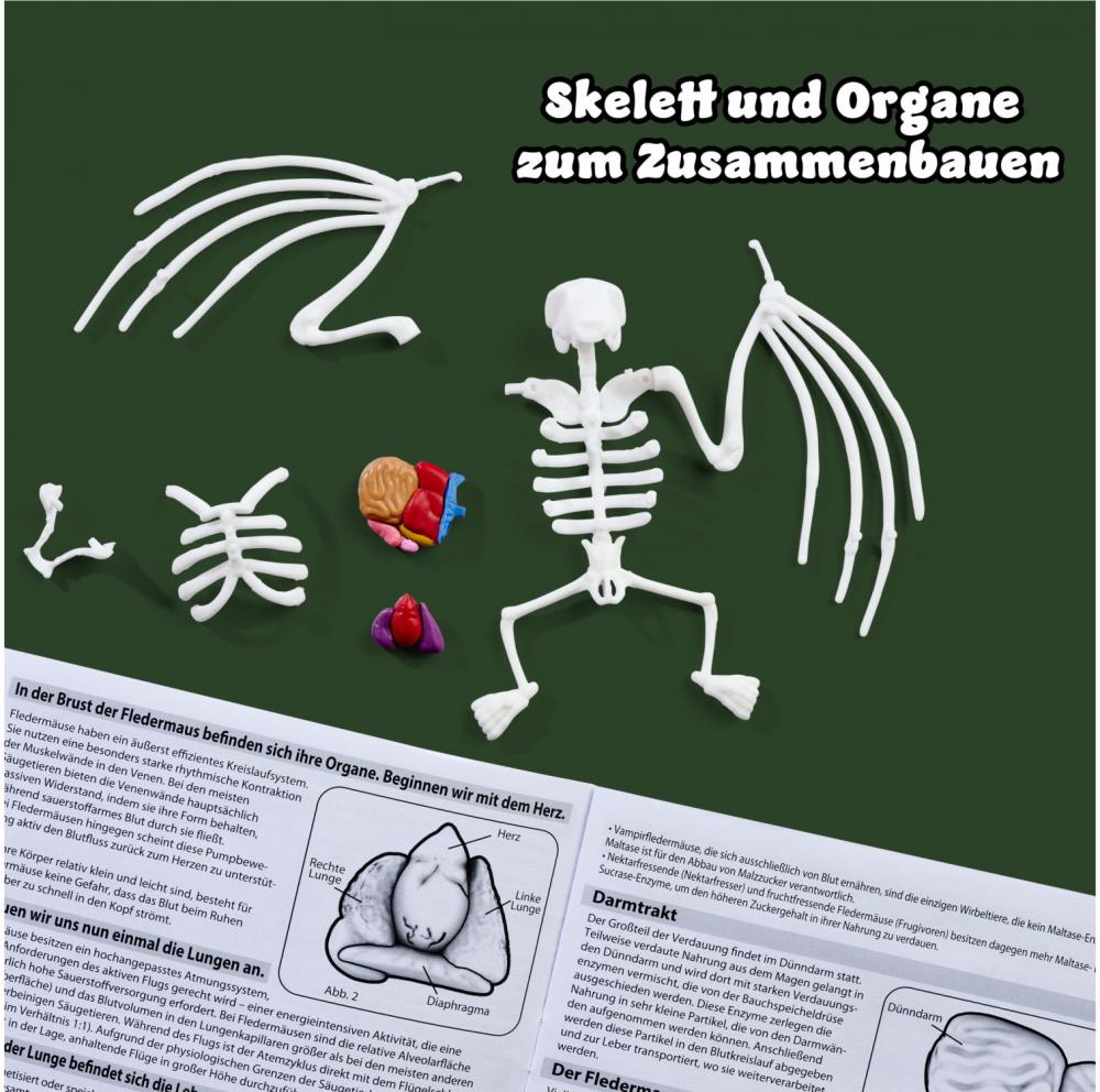 Simba Outdoor Forschen und Entdecken Scout Dissect-It Fledermaus Schleim-Sezierset 109452705