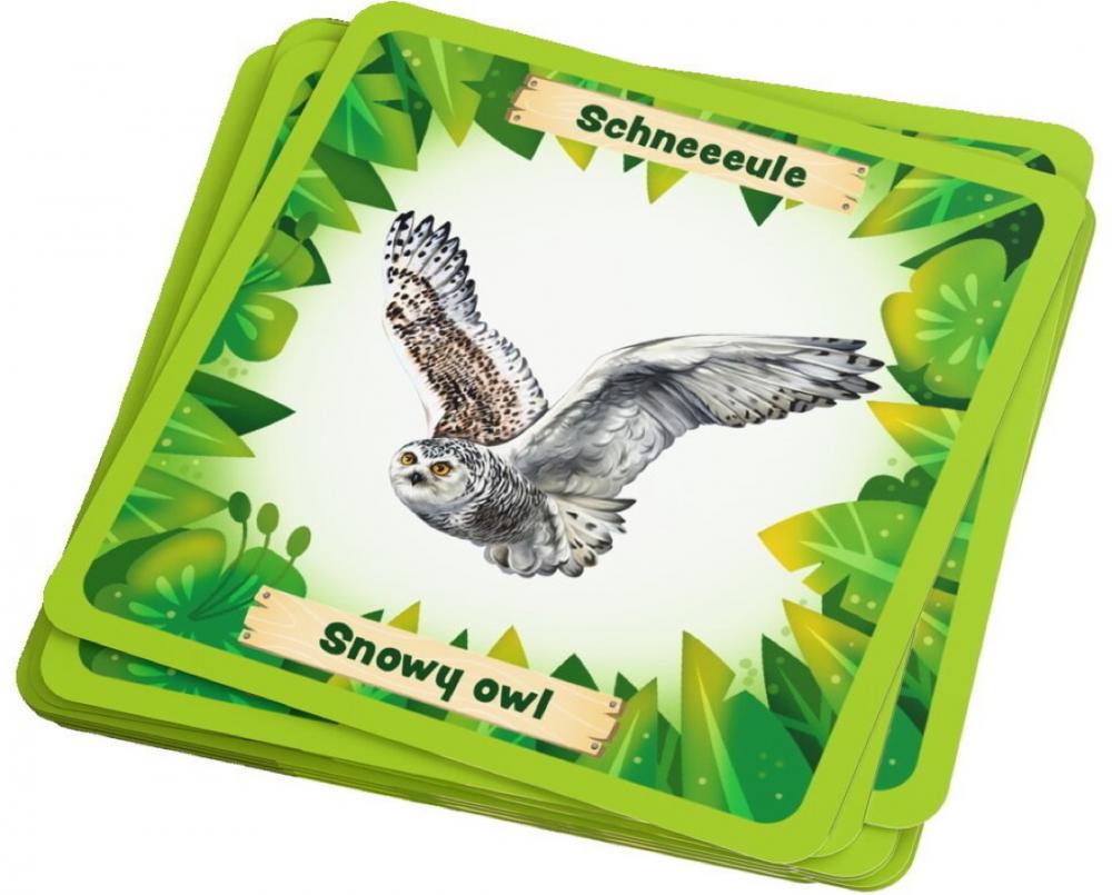 HABA Familienspiel Wissenspiel Tiere der Welt Bingo 2012719001