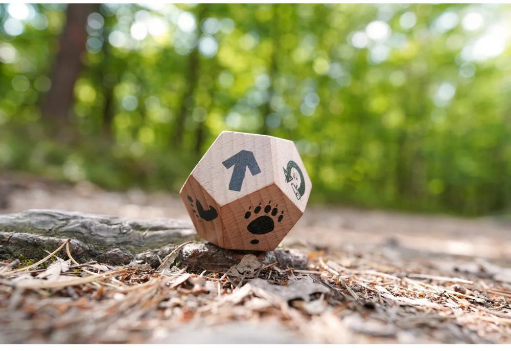 HABA Outdoor Forschen und Entdecken Terra Kids Entscheidungswürfel Surprise yourself! 2013842001