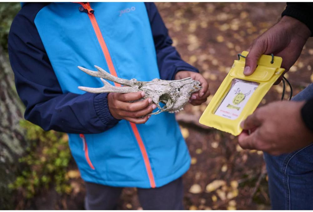 HABA Outdoor Forschen und Entdecken Terra Kids Suchspiel Seek and find! 2013848001