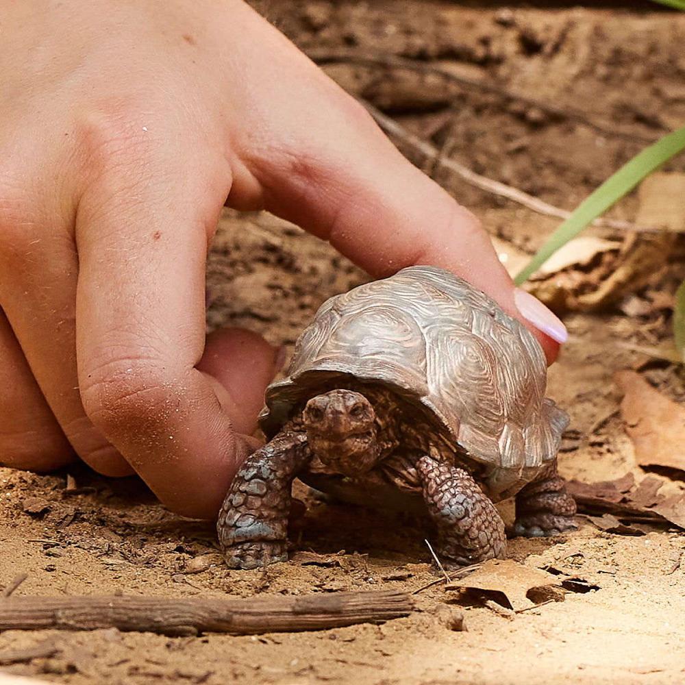 Schleich WILD LIFE Riesenschildkröte Einzelfigur 14824