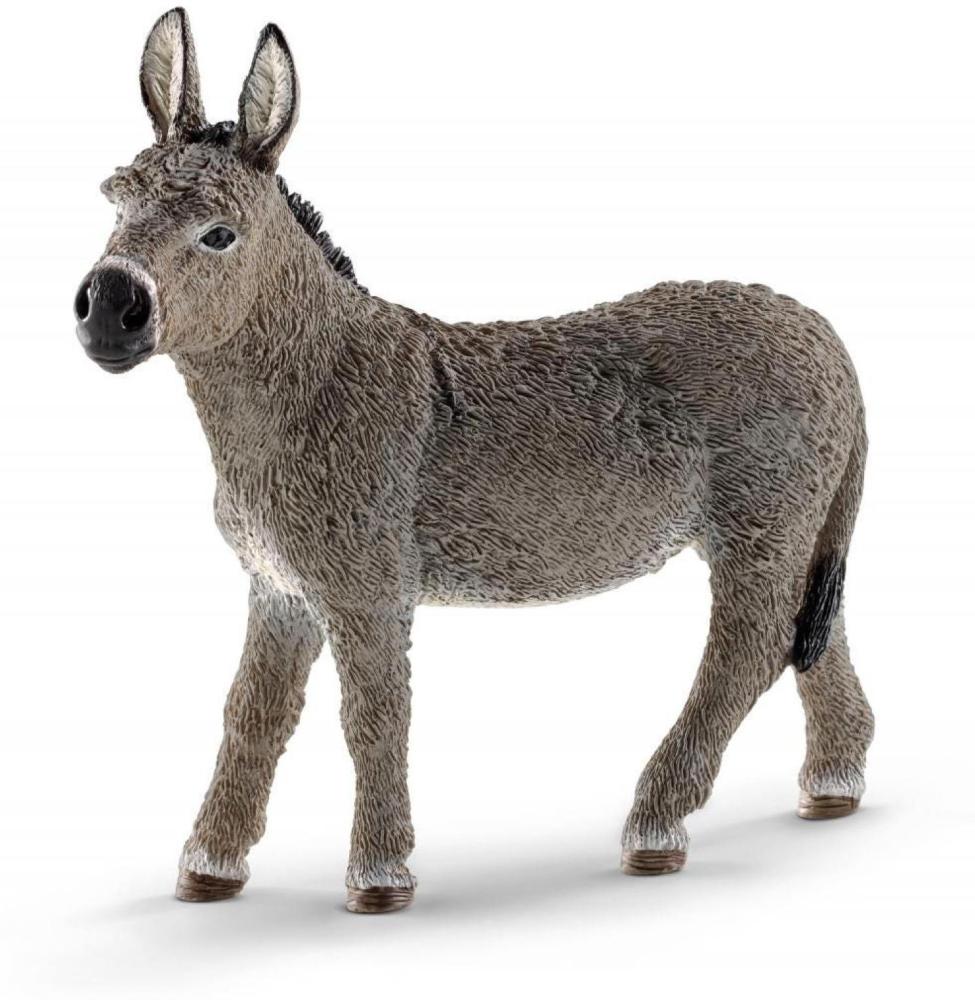 Artikelbild