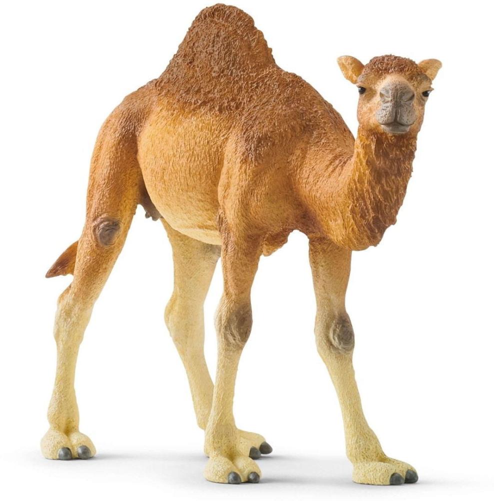 Artikelbild