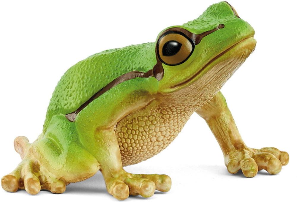 Artikelbild