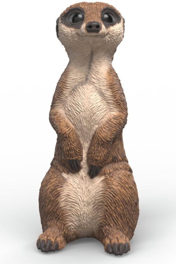 Artikelbild