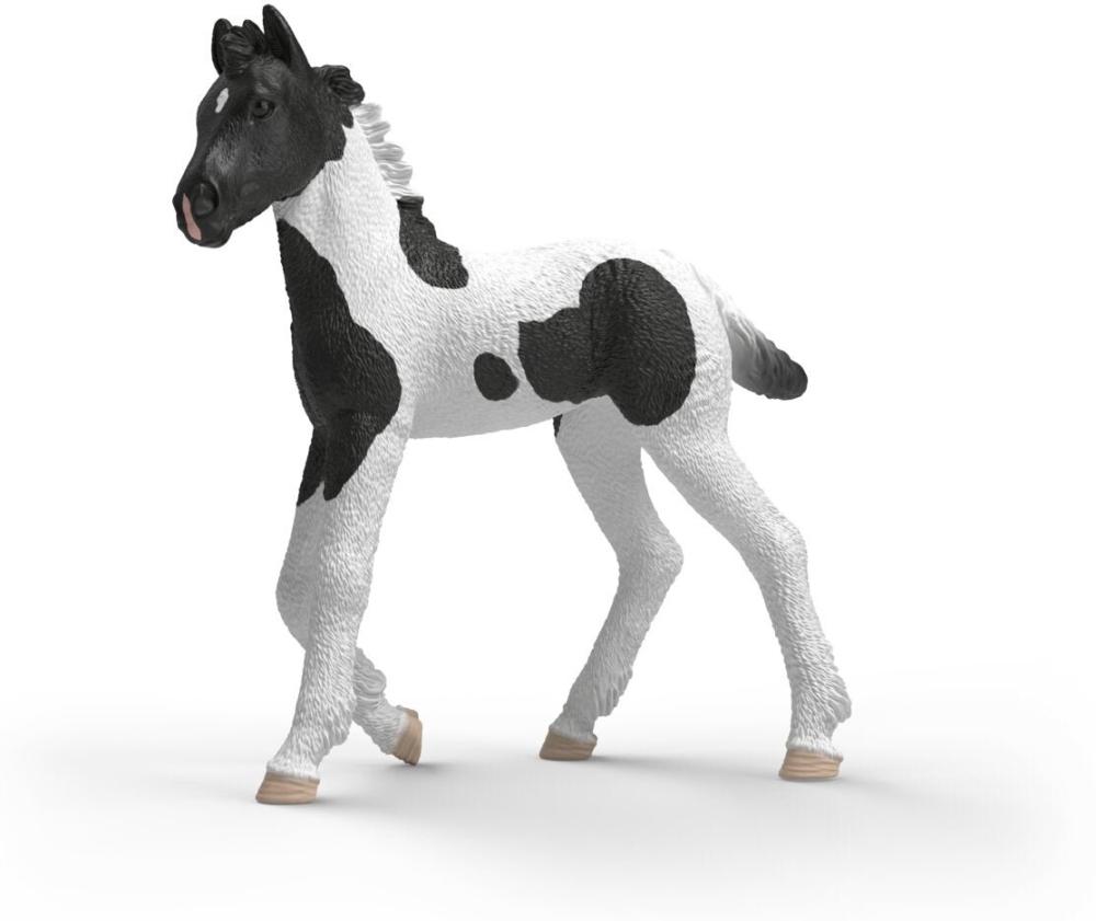 Schleich HORSE CLUB Sammelfohlen Rocky Einzelfigur 81481