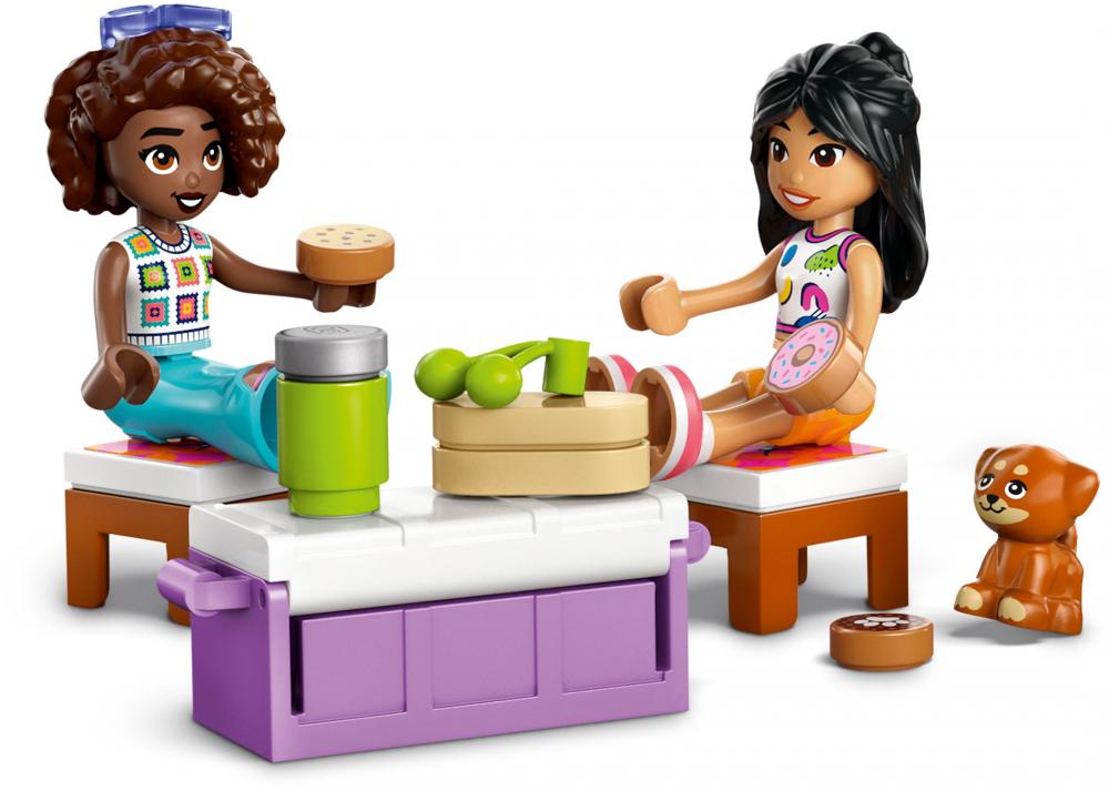LEGO® Friends Abenteuertrip mit Freunden 220 Teile 42659