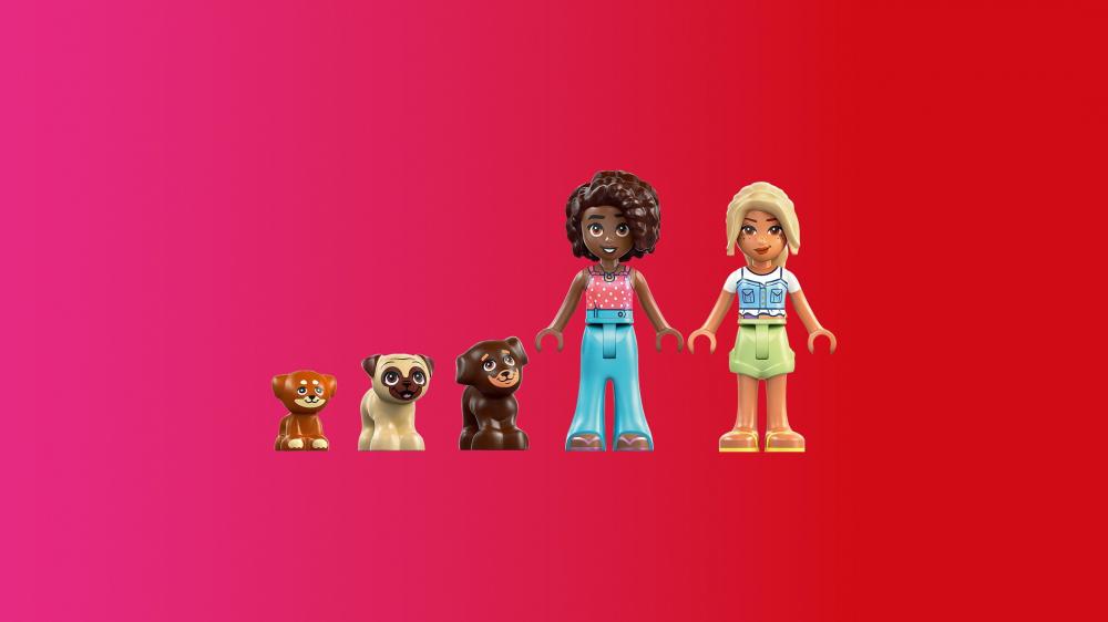 LEGO® Friends Welpenspielplatz 66 Teile 42665