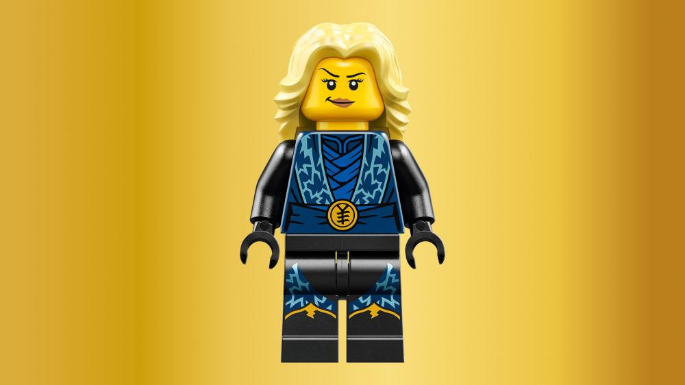 LEGO® NINJAGO 15-jähriges Jubiläum Ninja-Charaktere zum Ausstellen 447 Teile 71866