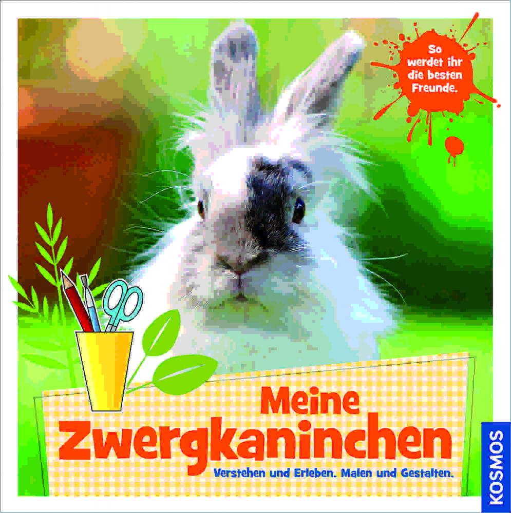 Artikelbild