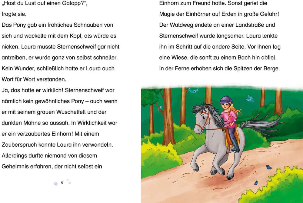 Kosmos Buch Sternenschweif Band 71 Das verzauberte Bild 17051
