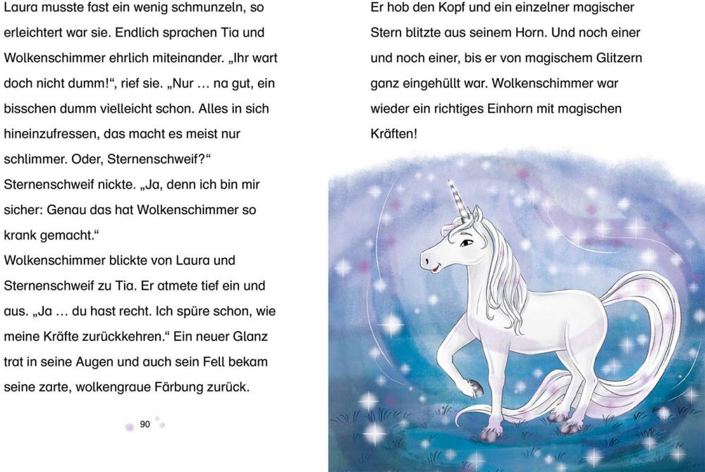 Kosmos Buch Sternenschweif Band 71 Das verzauberte Bild 17051