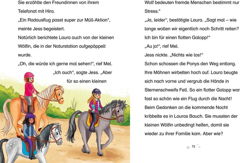 Kosmos Buch Sternenschweif Band 72 Geheimnis der Wölfe 17460