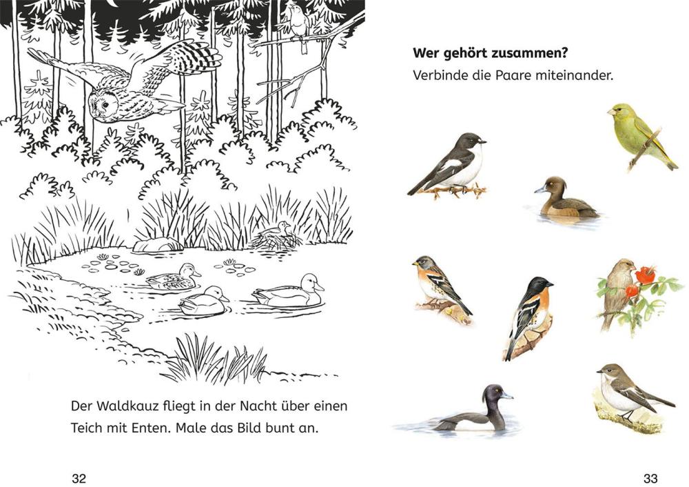 Kosmos Buch Lesen lernen Bücherhelden 2.Kl. Naturrätsel Heimische Vögel 17818