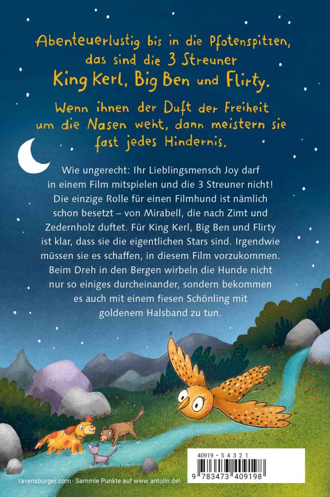 Ravensburger Buch Erzählendes Kinderbuch 3 Streuner werden Filmstars 40919