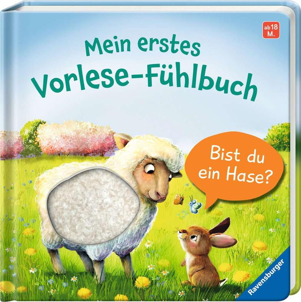 Artikelbild