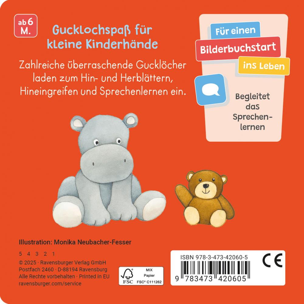 Ravensburger Buch Pappbilderbuch Spracherwerb Mein Gucklochbuch Erste Sachen 42060