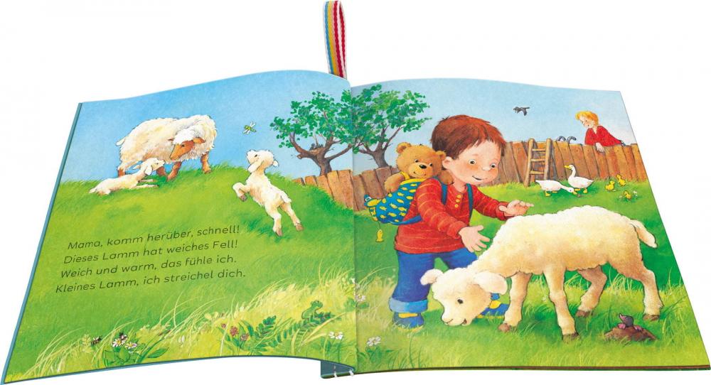 Ravensburger Buch Pappbilderbuch Mein Knuddel-Knautsch-Buch Meine Tierkinder 42092