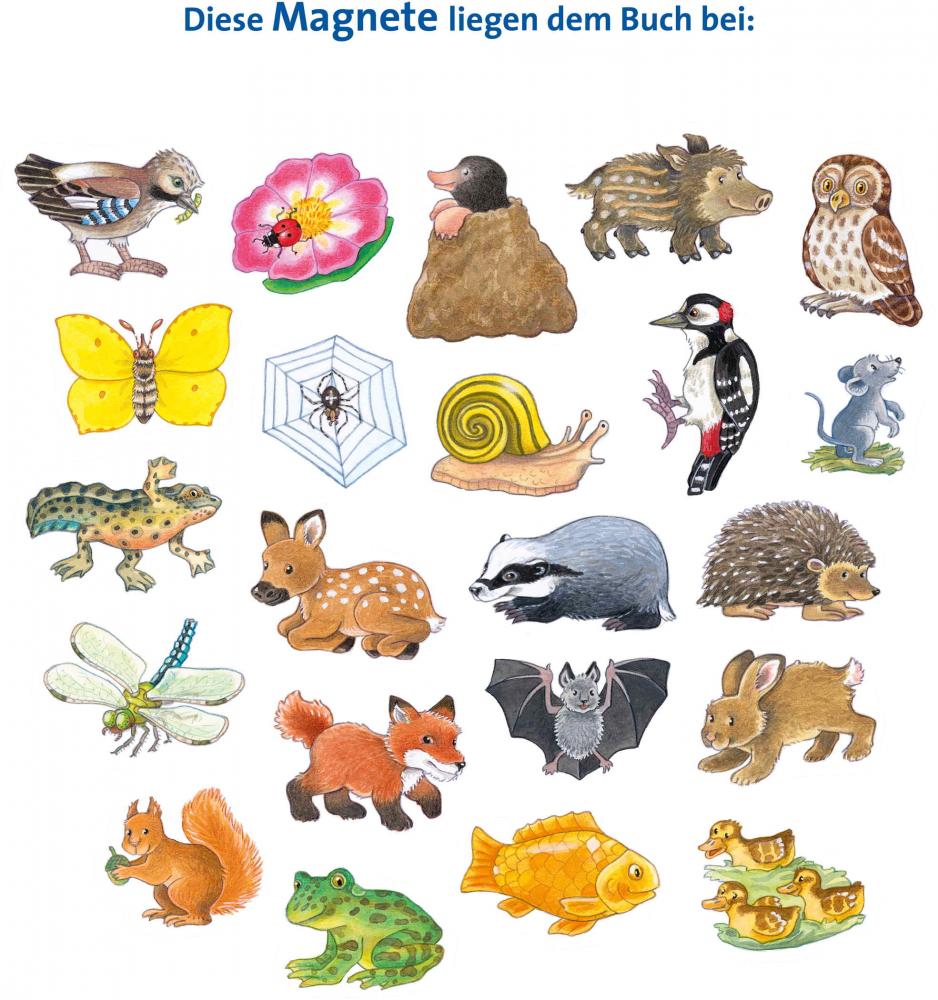 Ravensburger Buch Pappbilderbuch Mitmachen Mein großes Magnetbuch Wer wohnt wo? 42150
