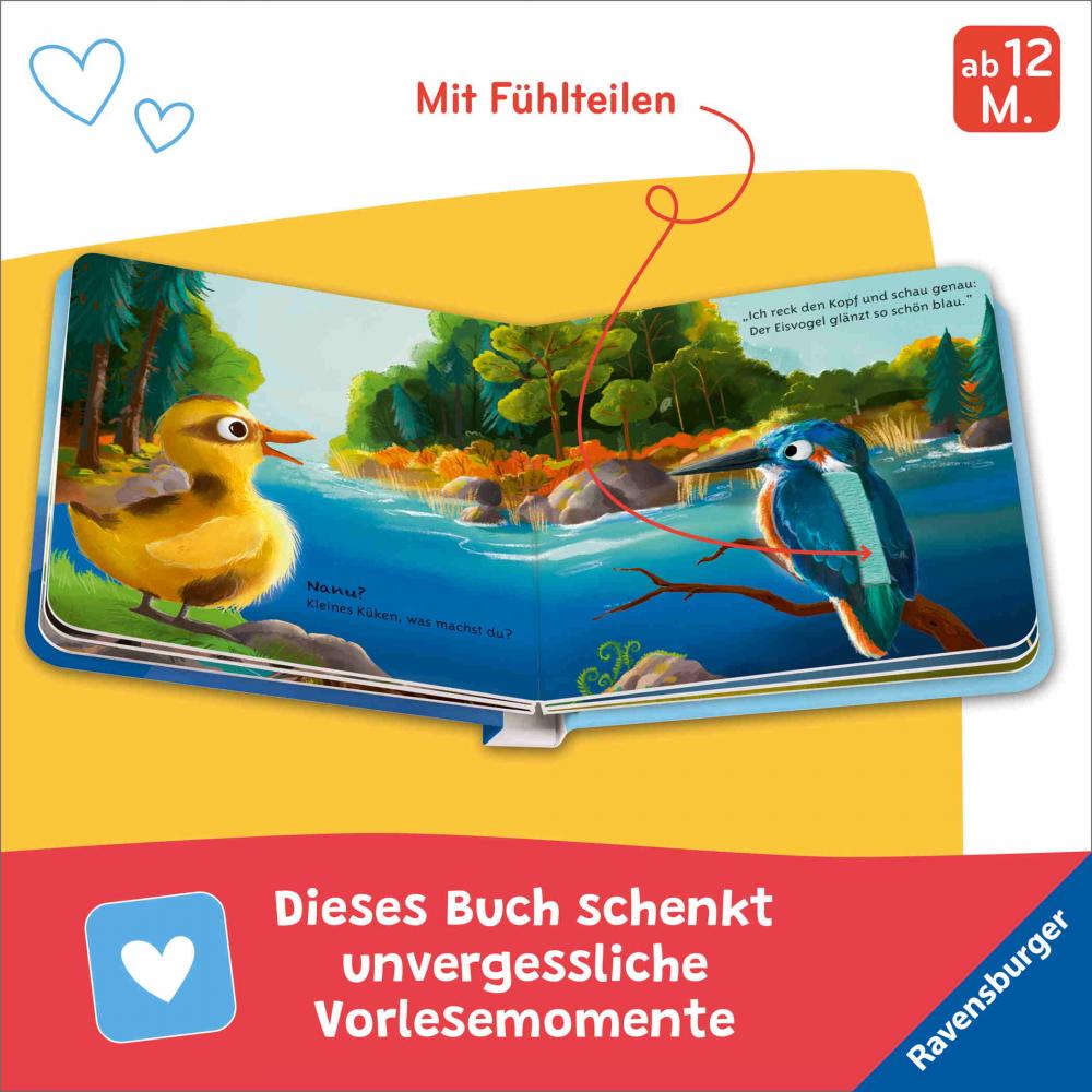 Ravensburger Buch Pappbilderbuch Vorlesen Mein liebstes Vorlese Fühlbuch Das kleine Küken 42214