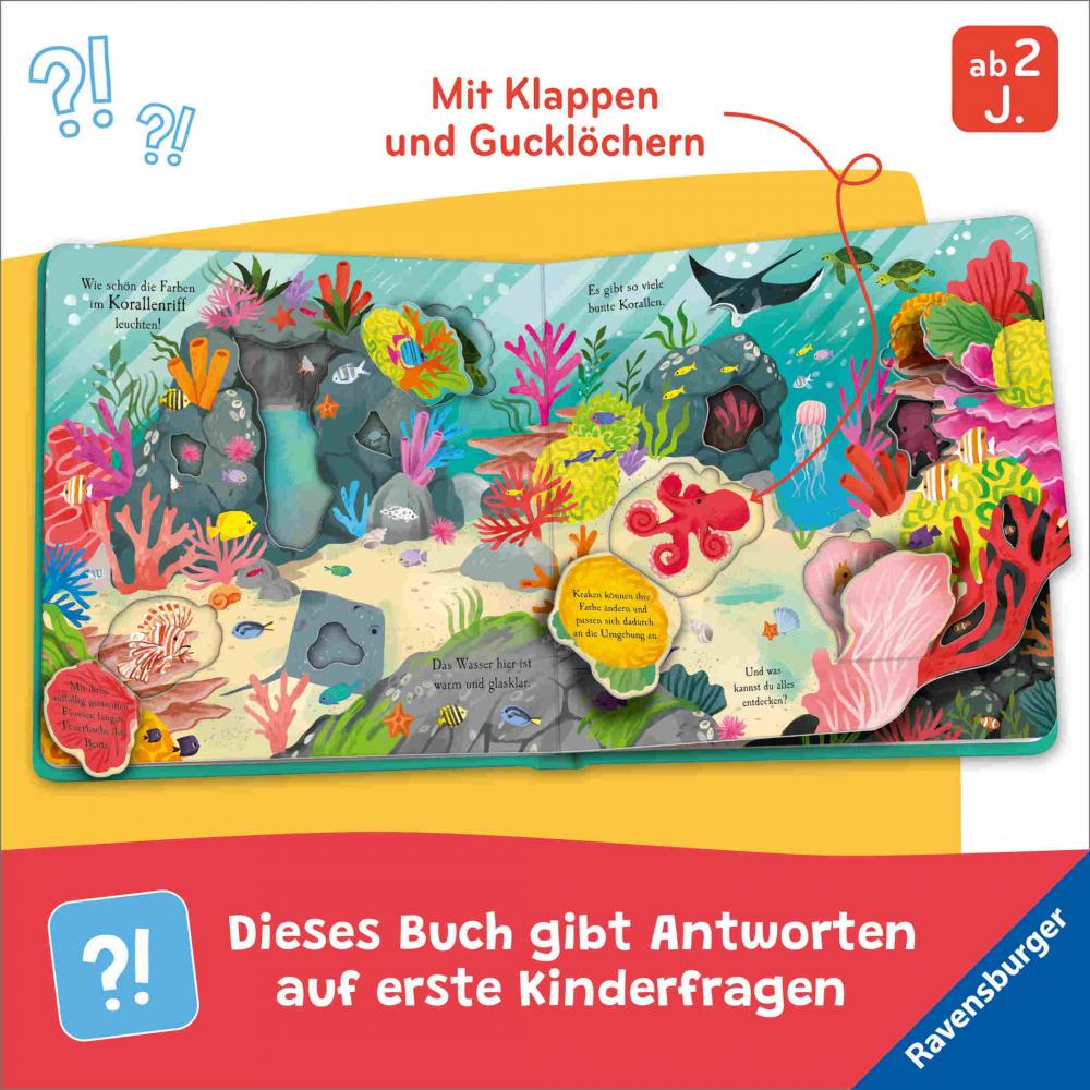Ravensburger Buch Pappbilderbuch Wissen und Lernen Auf Entdeckungstour Im Meer 42249