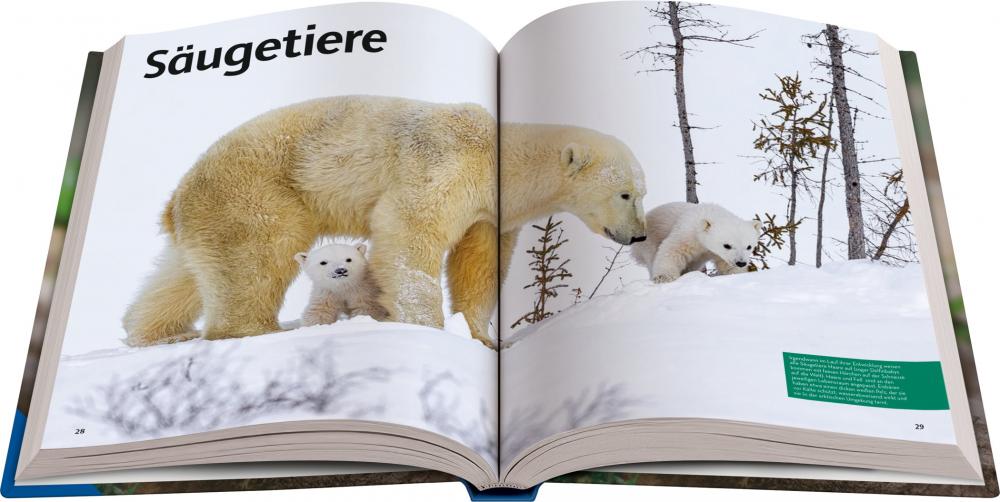 Ravensburger Buch Kindersachbuch National Geographic Kids Lexikon Tiere 48095