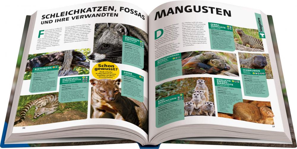 Ravensburger Buch Kindersachbuch National Geographic Kids Lexikon Tiere 48095