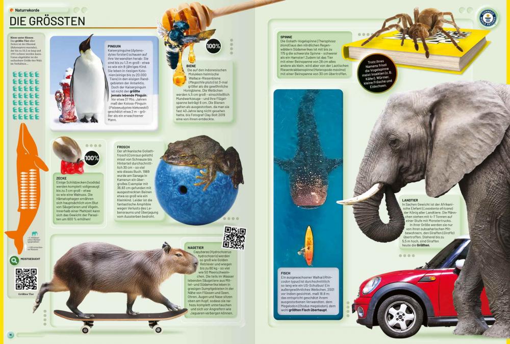 Ravensburger Buch Guinness Guinness World Records 2026 48096