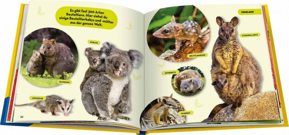Ravensburger Buch National Geographic Kids Die tollsten Tierbabys aus aller Welt 48115