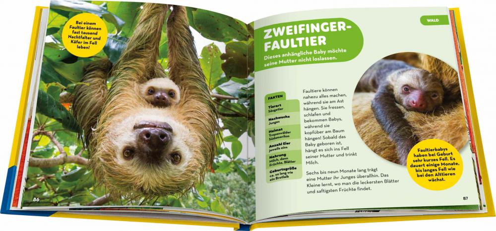 Ravensburger Buch National Geographic Kids Die tollsten Tierbabys aus aller Welt 48115