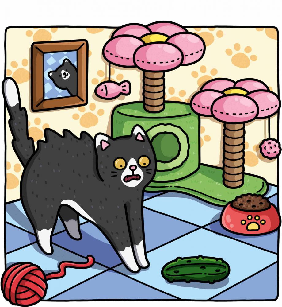 Ravensburger Buch Kreativität Cozy Coloring Naughty Cats 48135