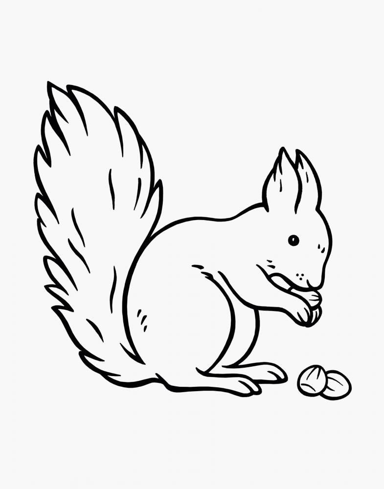 Ravensburger Buch Kreativität Spiel & Spaß Mein allererster Malblock Tiere 48848