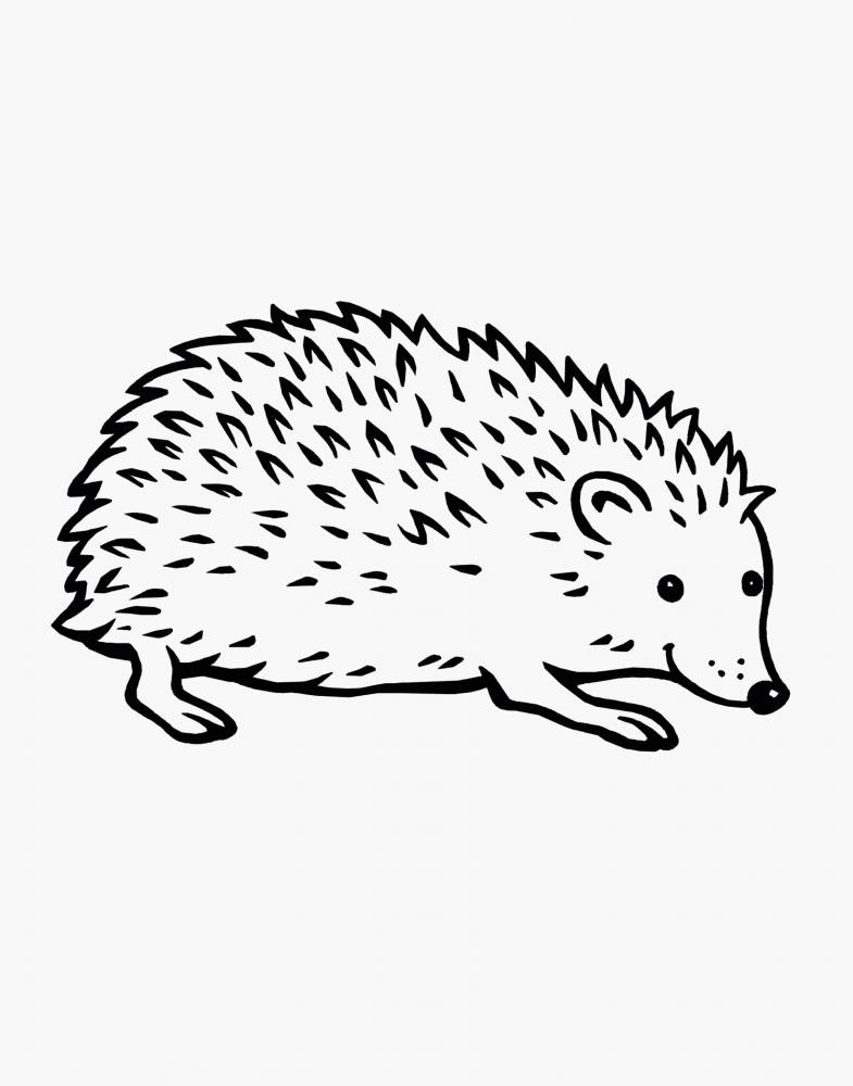 Ravensburger Buch Kreativität Spiel & Spaß Mein allererster Malblock Tiere 48848