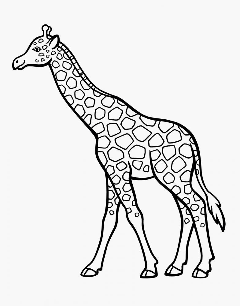 Ravensburger Buch Kreativität Spiel & Spaß Mein allererster Malblock Tiere 48848