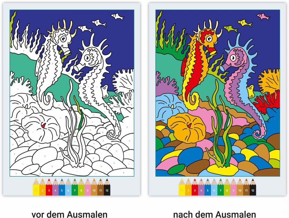 Ravensburger Buch Kreativität CreArt Malen nach Zahlen ab 7 Im Meer 48862