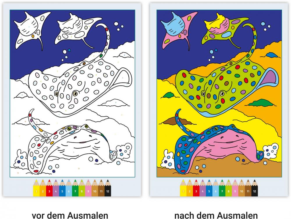 Ravensburger Buch Kreativität CreArt Malen nach Zahlen ab 7 Im Meer 48862