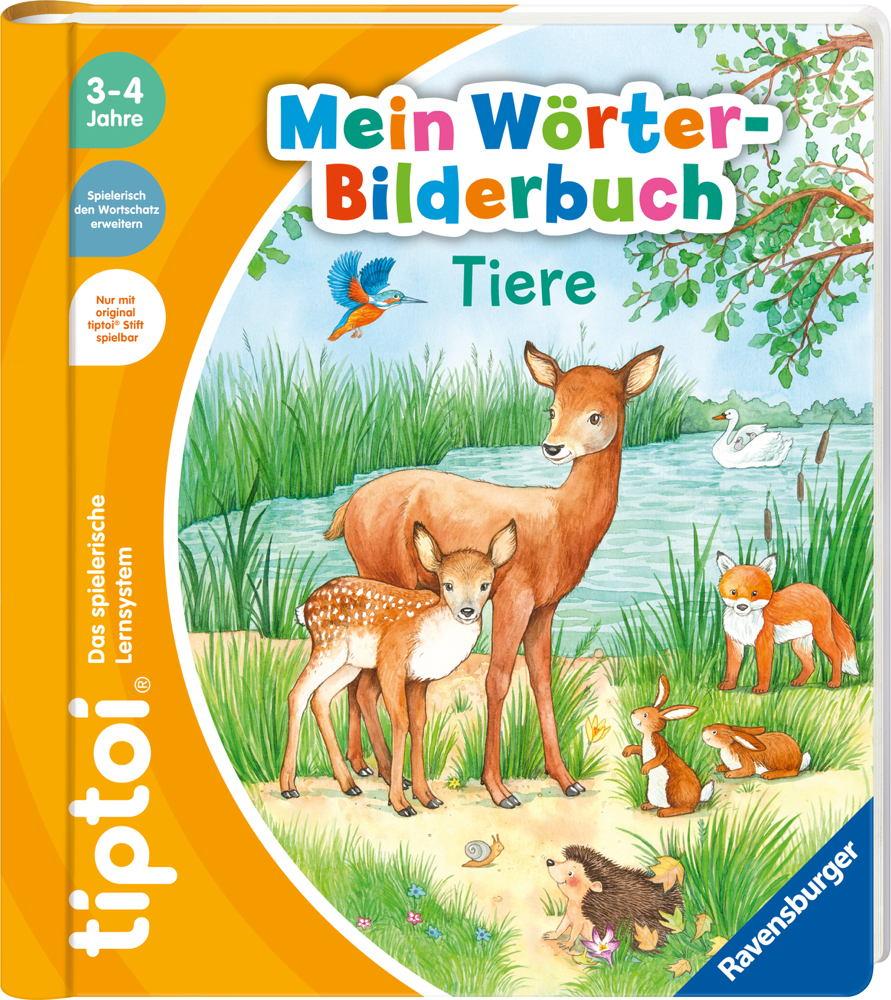 Artikelbild