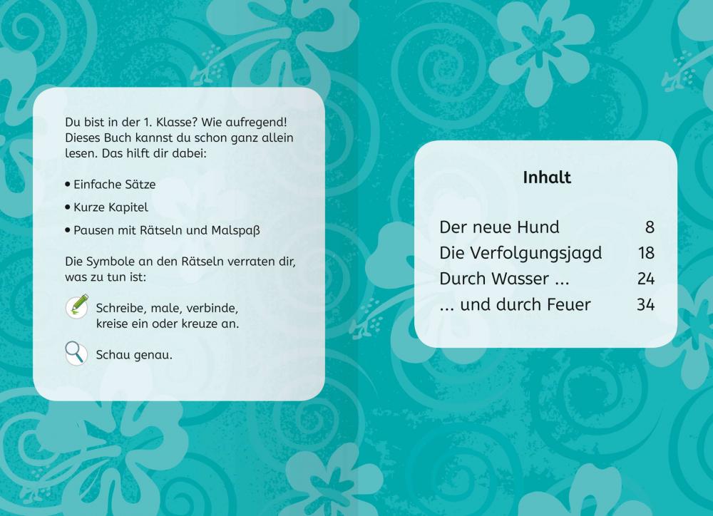 Ravensburger Buch Disney Lilo & Stitch Auf die Plätze, fertig, Stitch! zum Lesenlernen 49858