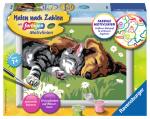 Ravensburger Malen nach Zahlen Classic Serie E Tiefer Schlaf 28015
