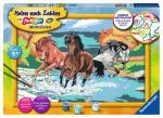 Ravensburger Malen nach Zahlen Classic Serie C Stolze Wildpferde 28492