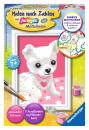 Ravensburger Malen nach Zahlen Classic Serie F Chihuahua 29684