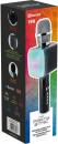 Bigben Bluetooth portabler Lautsprecher Party Mic Mikrofon Licht LED schwarz AU387087