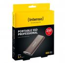 Intenso SSD externe Festplatte Professional 1,8 Zoll 250GB Typ C USB 3.1 braun-metallic