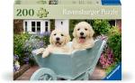 200 Teile Ravensburger Puzzle Feel & Well Golden Retriever 12001368