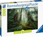 1000 Teile Ravensburger Puzzle Nature Edition Faszinierender Wald 17494