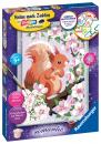 Ravensburger Malen nach Zahlen Classic Serie D Romantic Neugieriges Eichhörnchen 20064
