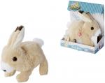 Simba Plüsch Stofftier PetZoo BunBun Hase 19cm 105890156